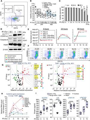 Cellular RNA and DNA sensing pathways are essential for the dose-dependent response of human monocytes to ionizing radiation